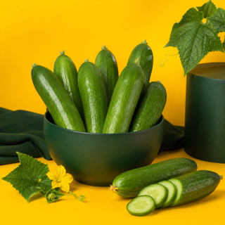 خیار گلخانه ای